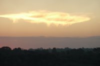 View Album
