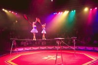 circos del mundo