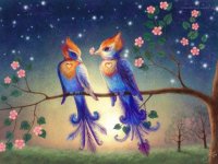 pajaros del mundo