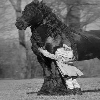 CABALLO
