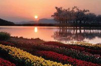 LAGO