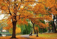 PARQUE
