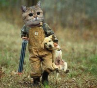GATO Y PERRITO