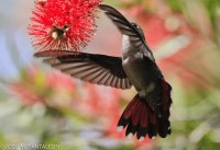 naturaleza