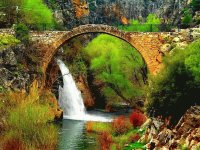 naturaleza