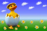 patito