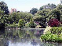 central park
