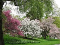 central park 2