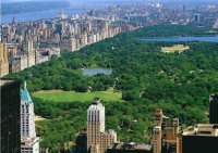 central park 3