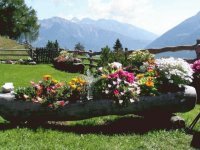 FLORES