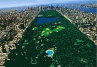 central park 4