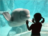 mutual curiosity