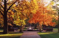 Oxford Park