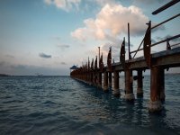 muelle
