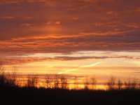 Spring sunrise in bkyrd