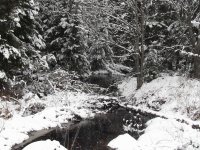 Brook after the last (?) snow 4/2013