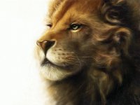 LEON