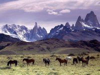 MONTAÑA