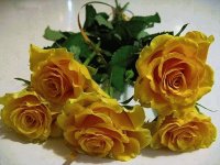 RAMO DE ROSAS