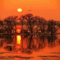 PUESTA DE SOL