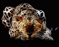 TIGRE
