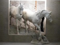 CABALLOS
