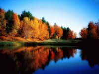LAGO