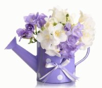 FLORERO