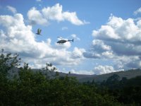 Dos aves: Natura mécanica