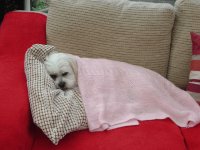 Sleepy time