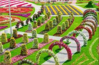 natural flower garden8