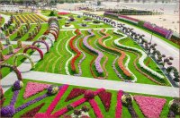 natural flower garden9