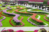natural flower garden10