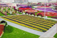 natural flower garden11