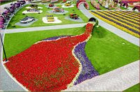 natural flower garden12