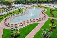 natural flower garden13