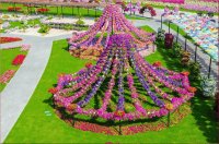 natural flower garden14