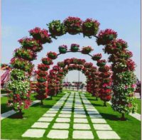 natural flower garden1