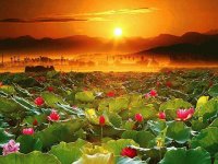 ATARDECER