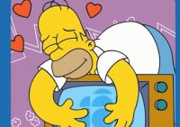 Homer-The-Simpsons-Televisão