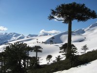 PAISAJE