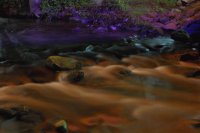 creek in dollywood tn