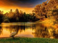 LAGO