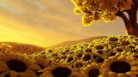 GIRASOLES