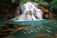 CASCADA