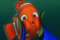 nemo