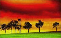 reggae
