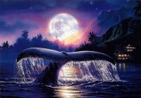 LUNA