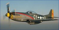 p51 mustang