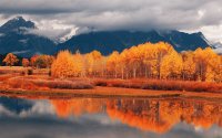 Otoño en el bosque.